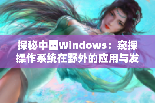 探秘中国Windows：窥探操作系统在野外的应用与发展
