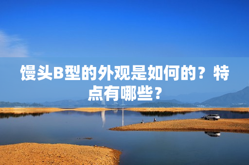 馒头B型的外观是如何的？特点有哪些？