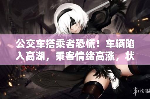 公交车搭乘者恐慌！车辆陷入高湖，乘客情绪高涨，状况何如？