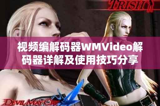 视频编解码器WMVideo解码器详解及使用技巧分享