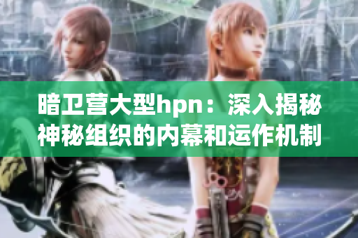 暗卫营大型hpn：深入揭秘神秘组织的内幕和运作机制