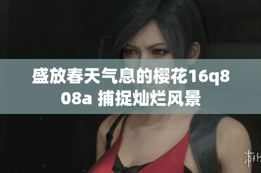 盛放春天气息的樱花16q808a 捕捉灿烂风景