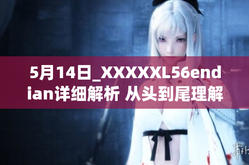 5月14日_XXXXXL56endian详细解析 从头到尾理解它