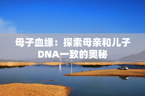 母子血缘：探索母亲和儿子DNA一致的奥秘