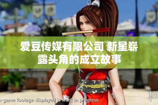 爱豆传媒有限公司 新星崭露头角的成立故事