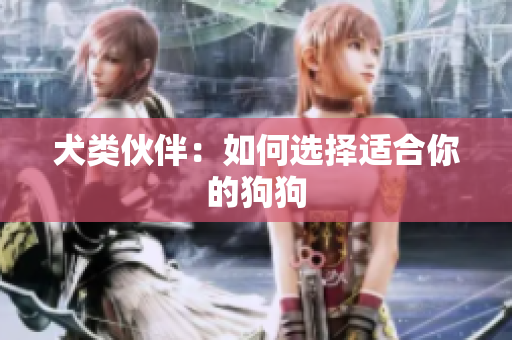 犬类伙伴：如何选择适合你的狗狗