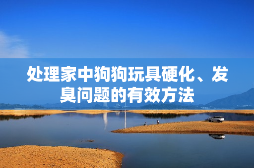 处理家中狗狗玩具硬化、发臭问题的有效方法