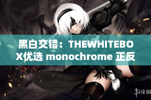 黑白交错：THEWHITEBOX优选 monochrome 正反两色
