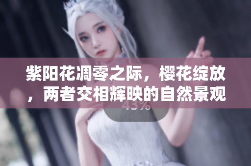 紫阳花凋零之际，樱花绽放，两者交相辉映的自然景观