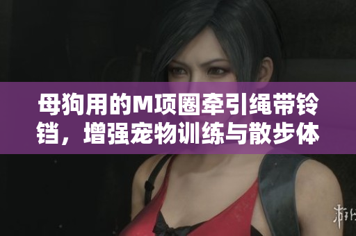 母狗用的M项圈牵引绳带铃铛，增强宠物训练与散步体验