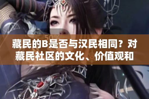 藏民的B是否与汉民相同？对藏民社区的文化、价值观和生活方式进行比较