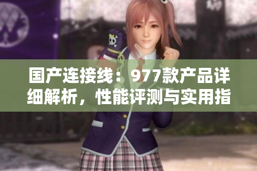国产连接线：977款产品详细解析，性能评测与实用指南