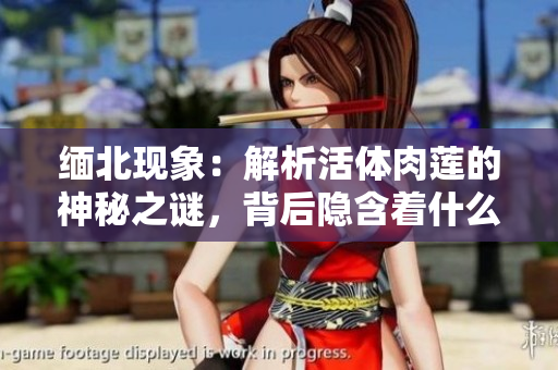 缅北现象：解析活体肉莲的神秘之谜，背后隐含着什么？
