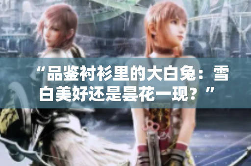 “品鉴衬衫里的大白兔：雪白美好还是昙花一现？”