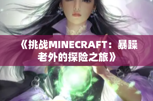 《挑战MINECRAFT：暴躁老外的探险之旅》