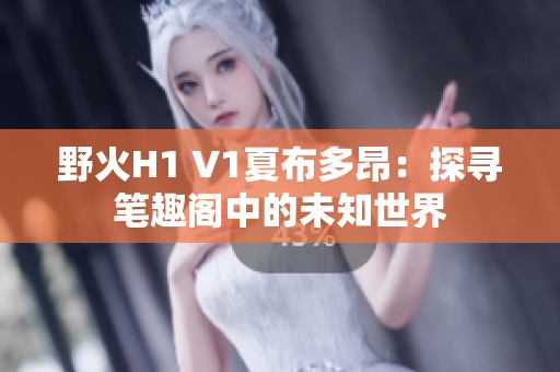 野火H1 V1夏布多昂：探寻笔趣阁中的未知世界