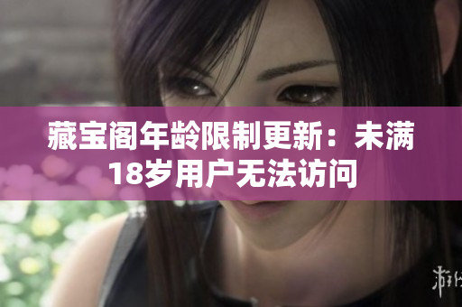 藏宝阁年龄限制更新：未满18岁用户无法访问