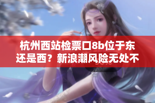 杭州西站检票口8b位于东还是西？新浪潮风险无处不在