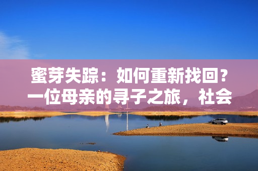 蜜芽失踪：如何重新找回？一位母亲的寻子之旅，社会力量齐心协力相助