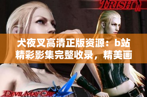 犬夜叉高清正版资源：b站精彩影集完整收录，精美画质尽在您的观看之中