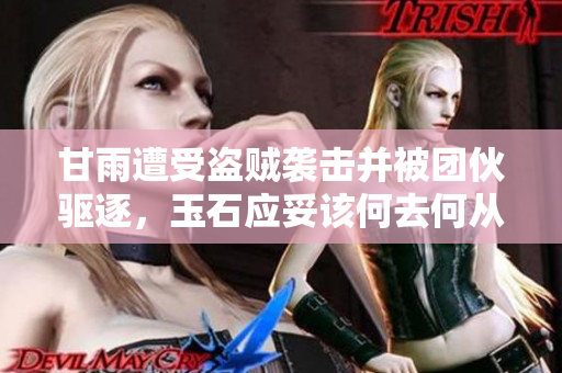 甘雨遭受盗贼袭击并被团伙驱逐，玉石应妥该何去何从？