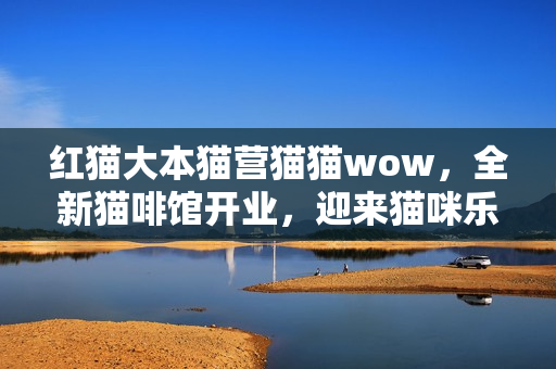 红猫大本猫营猫猫wow，全新猫啡馆开业，迎来猫咪乐园