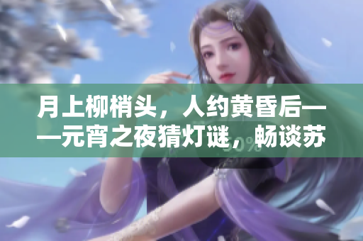 月上柳梢头，人约黄昏后——元宵之夜猜灯谜，畅谈苏秦知己