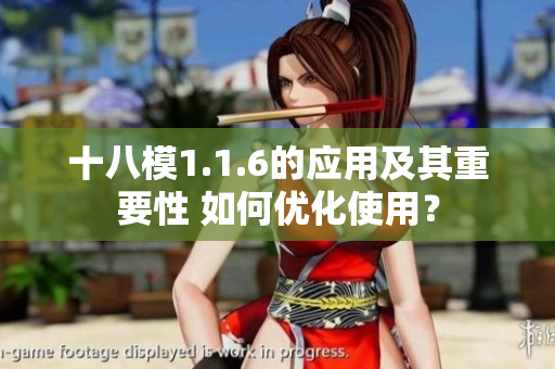 十八模1.1.6的应用及其重要性 如何优化使用？