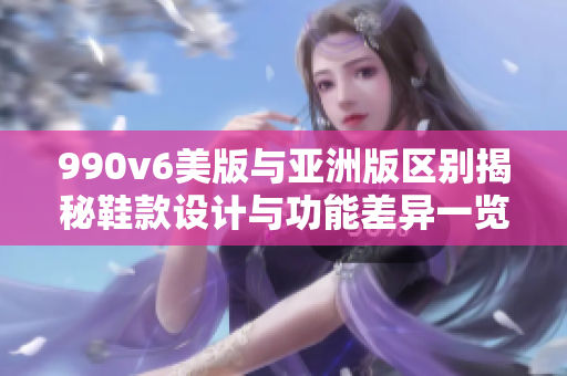 990v6美版与亚洲版区别揭秘鞋款设计与功能差异一览
