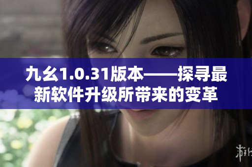九幺1.0.31版本——探寻最新软件升级所带来的变革