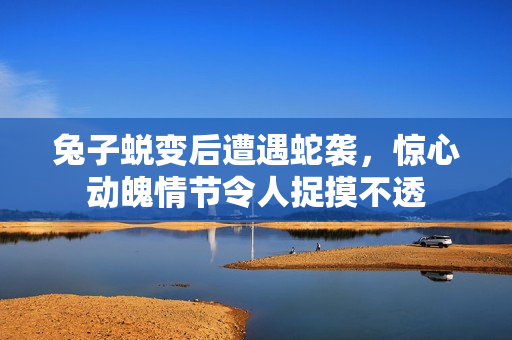 兔子蜕变后遭遇蛇袭，惊心动魄情节令人捉摸不透