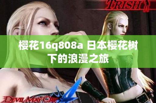 樱花16q808a 日本樱花树下的浪漫之旅