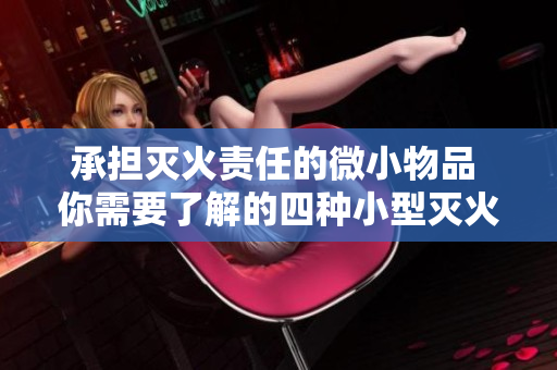 承担灭火责任的微小物品 你需要了解的四种小型灭火器