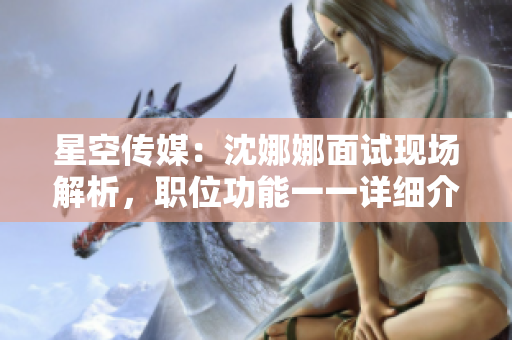 星空传媒：沈娜娜面试现场解析，职位功能一一详细介绍