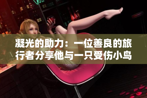 凝光的助力：一位善良的旅行者分享他与一只受伤小鸟之间温暖的故事
