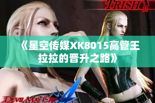 《星空传媒XK8015高管王拉拉的晋升之路》