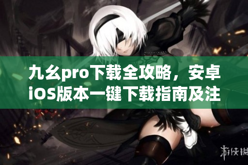九幺pro下载全攻略，安卓iOS版本一键下载指南及注意事项