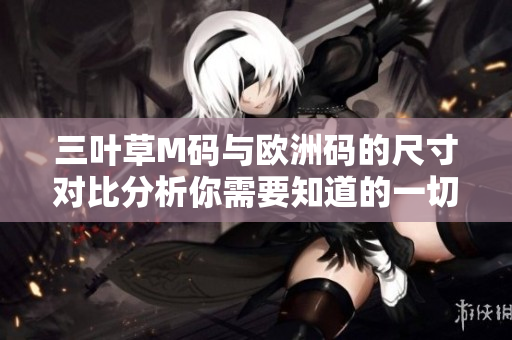 三叶草M码与欧洲码的尺寸对比分析你需要知道的一切