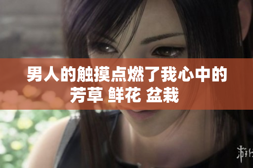 男人的触摸点燃了我心中的芳草 鲜花 盆栽 