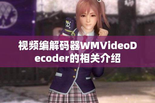 视频编解码器WMVideoDecoder的相关介绍
