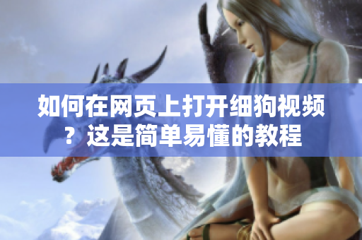 如何在网页上打开细狗视频？这是简单易懂的教程