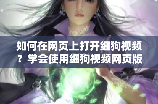 如何在网页上打开细狗视频？学会使用细狗视频网页版，轻松观看精彩视频