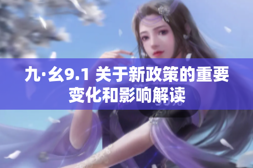 九·幺9.1 关于新政策的重要变化和影响解读