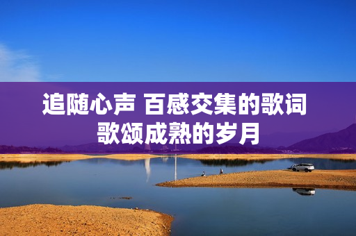 追随心声 百感交集的歌词 歌颂成熟的岁月