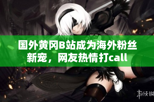 国外黄冈B站成为海外粉丝新宠，网友热情打call