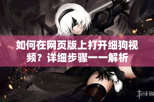 如何在网页版上打开细狗视频？详细步骤一一解析