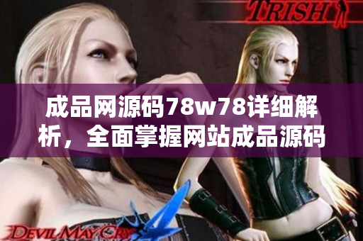 成品网源码78w78详细解析，全面掌握网站成品源码技术