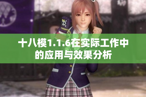 十八模1.1.6在实际工作中的应用与效果分析