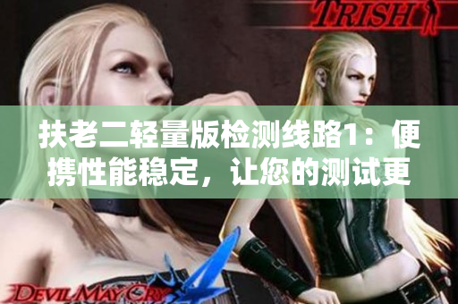 扶老二轻量版检测线路1：便携性能稳定，让您的测试更高效