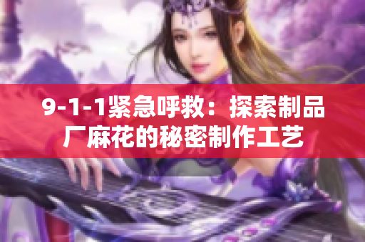 9-1-1紧急呼救：探索制品厂麻花的秘密制作工艺